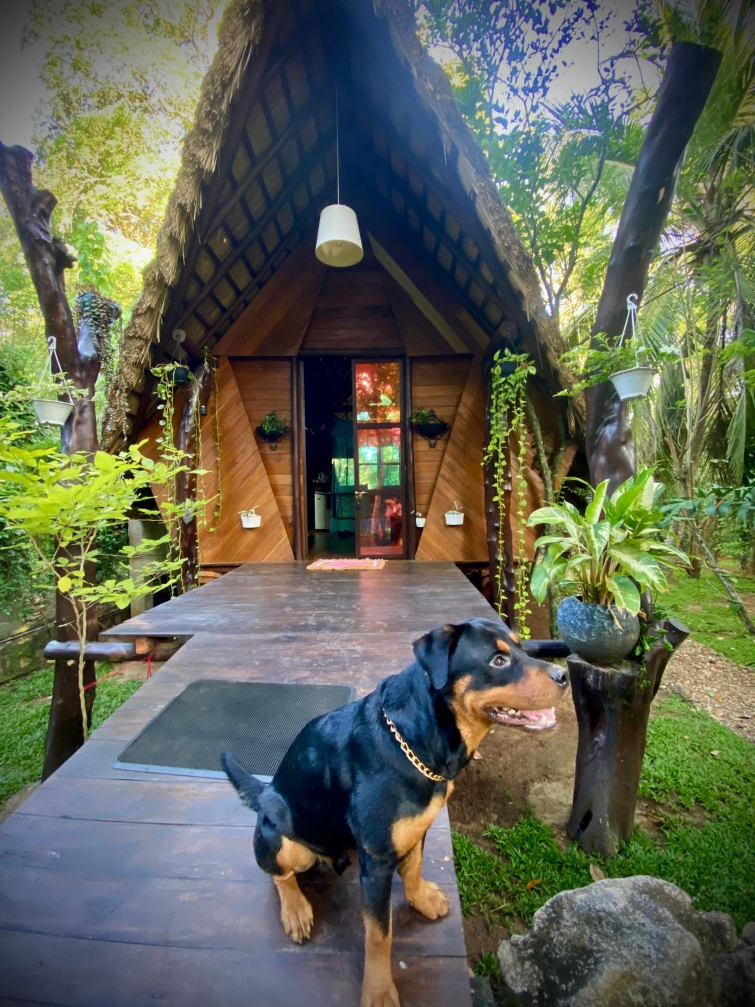 Chika'S Place River View Udawalawa Udawalawe Ngoại thất bức ảnh